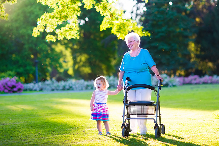 Disability Services - Aged Care Service (Highgate Park), Fullarton, 5063