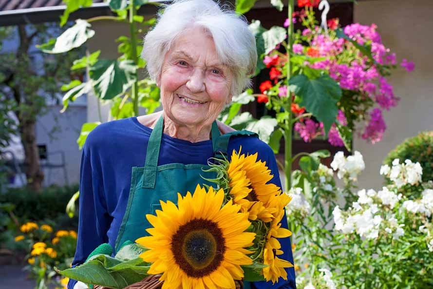 Smiling senior woman in garden with sunflowers