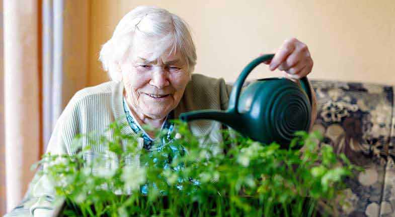 A smiling older woman watering a plant with a watering can