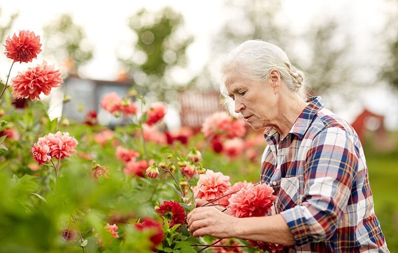 Aged Care Homes with Dementia Care