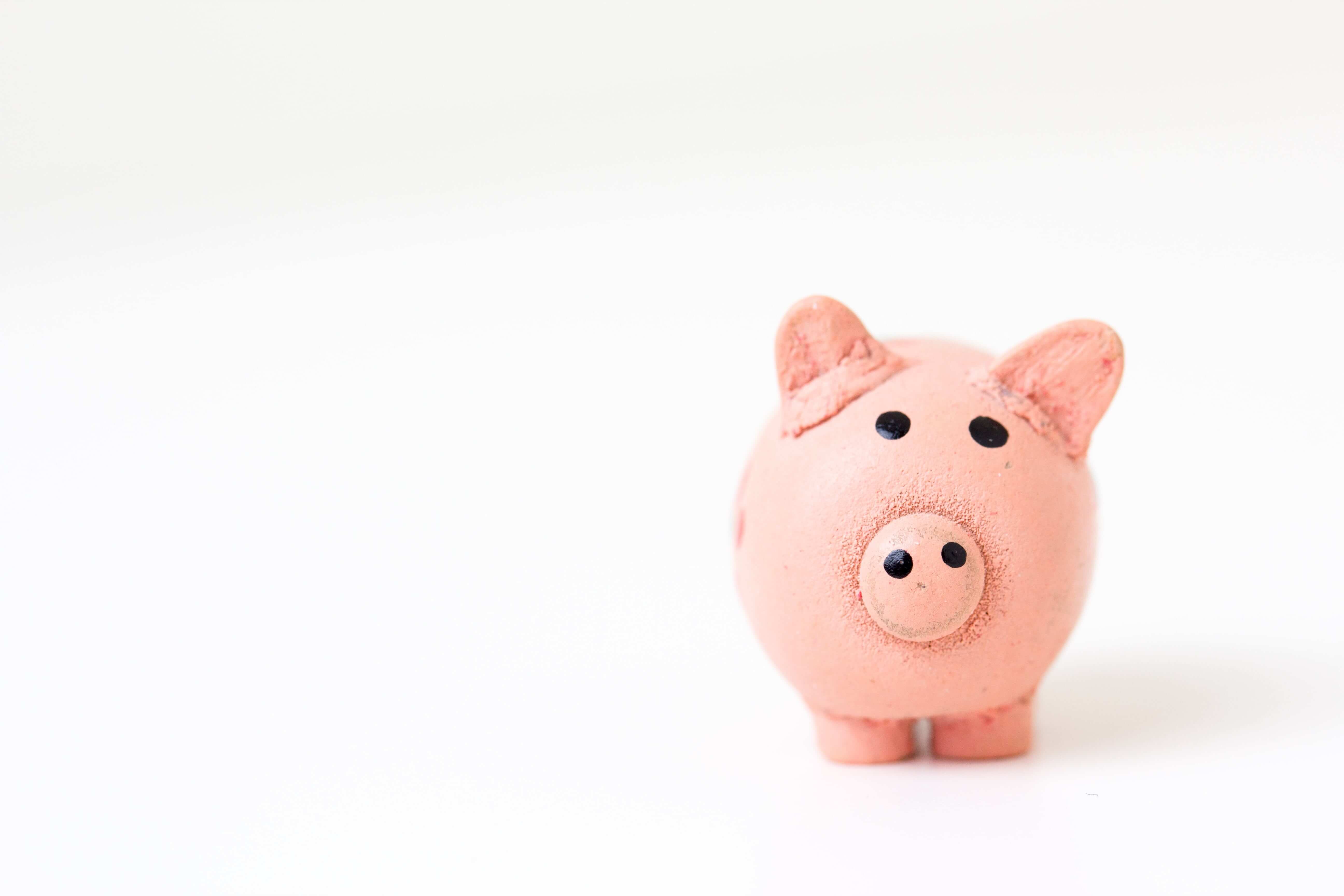A pink ceramic pig on white background