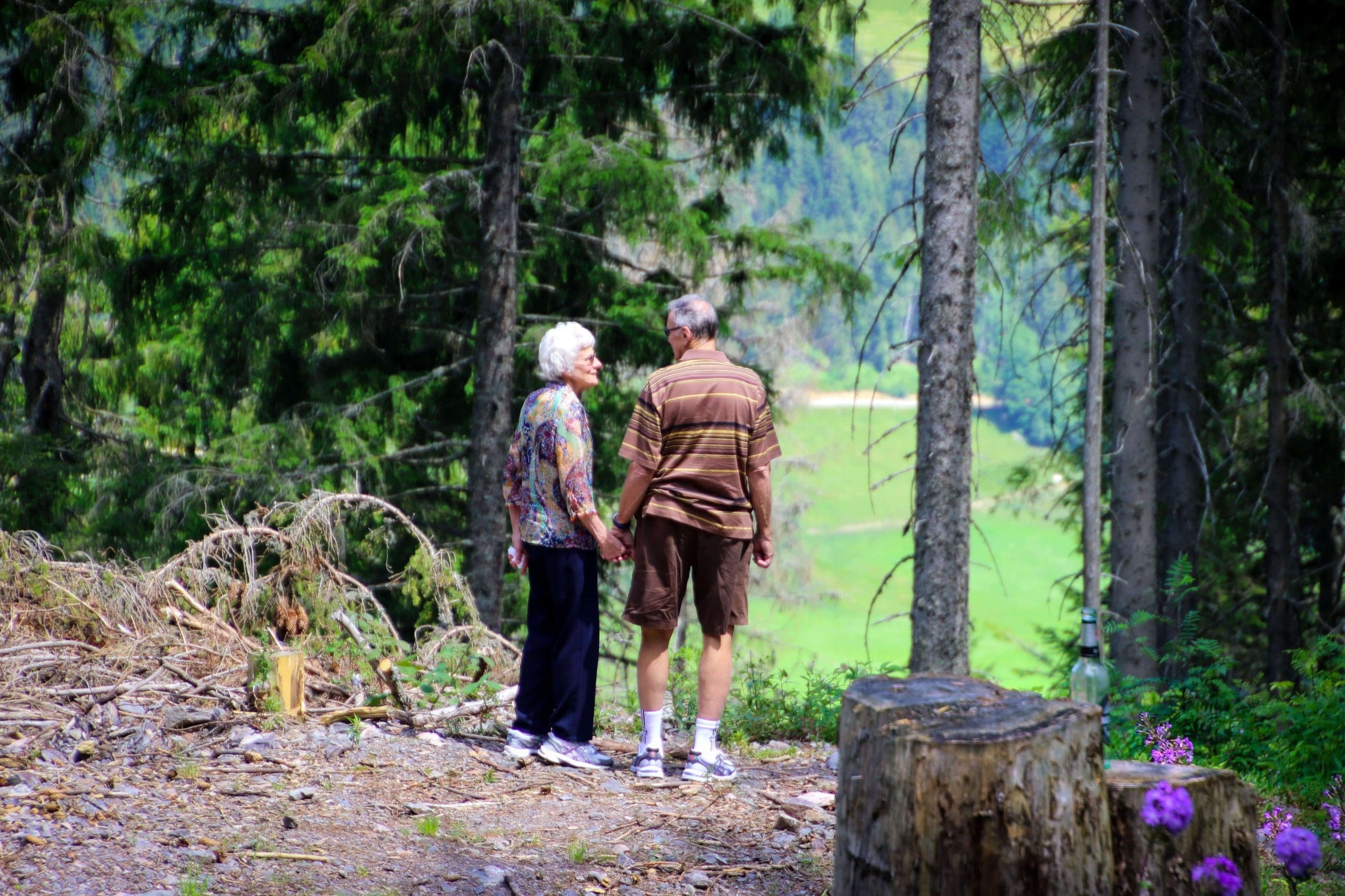 Elderly couple standing in a forest and holding hands