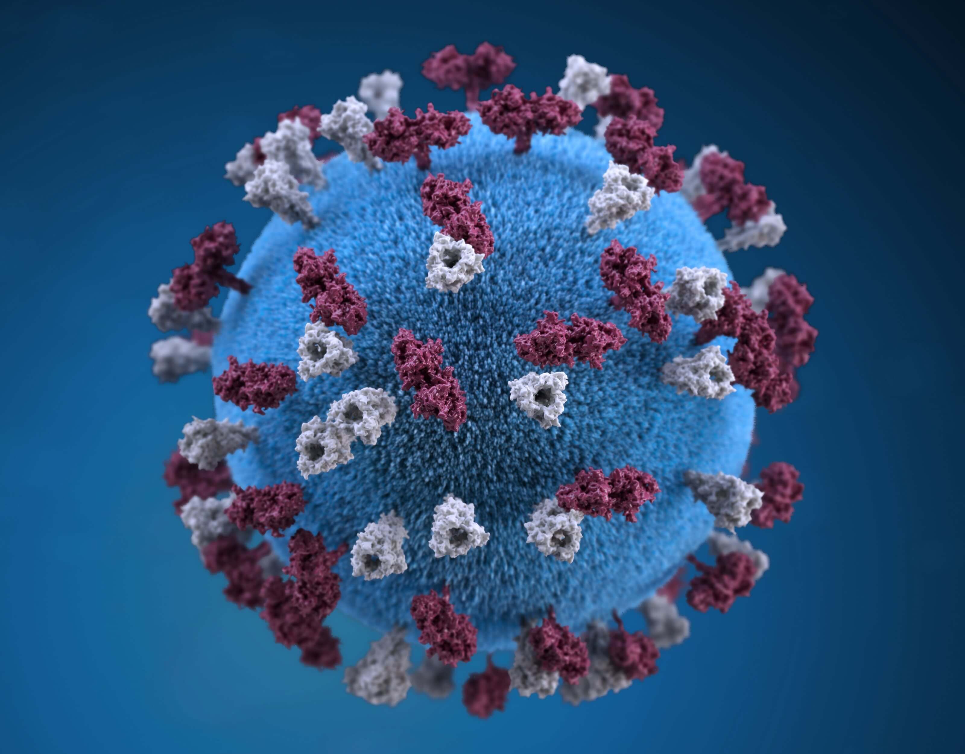 Microscopic virus