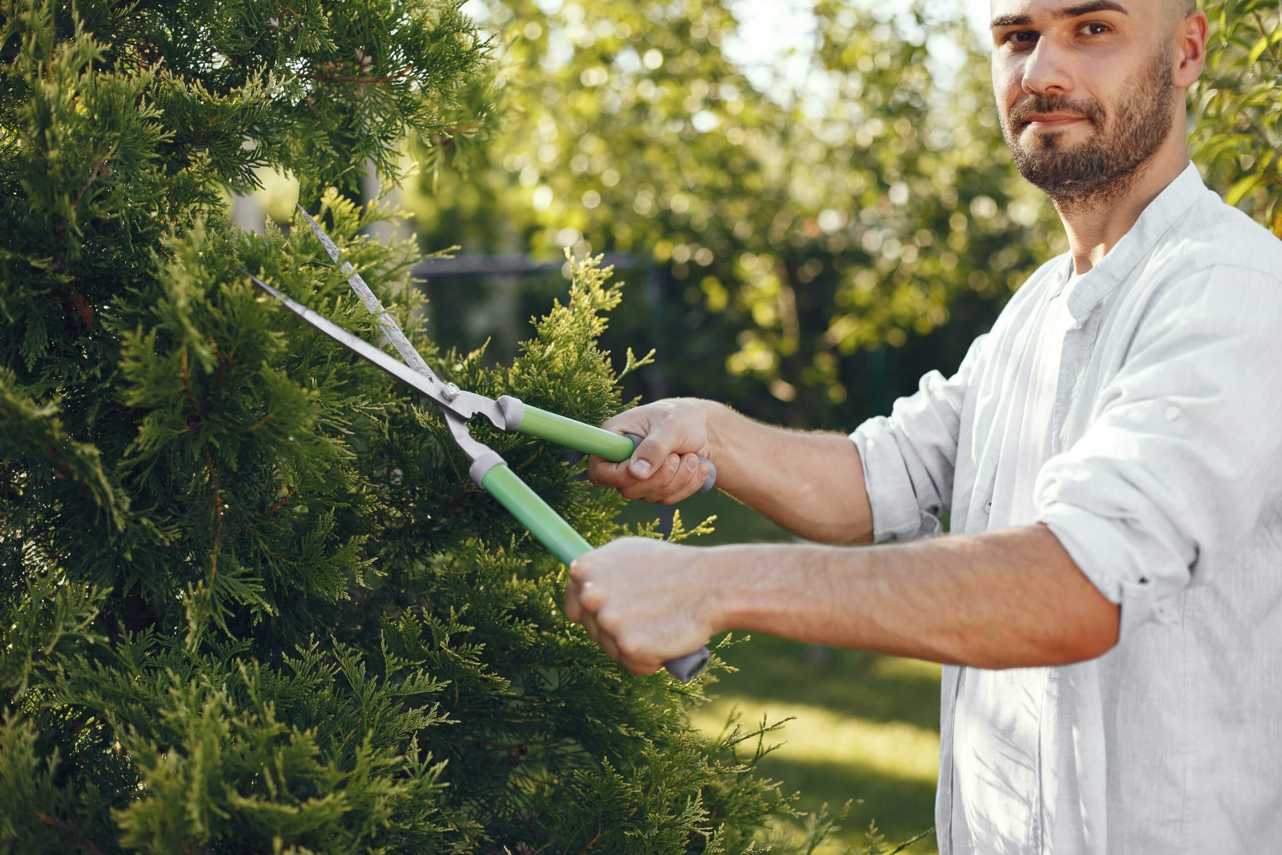 Gardening services and the NDIS