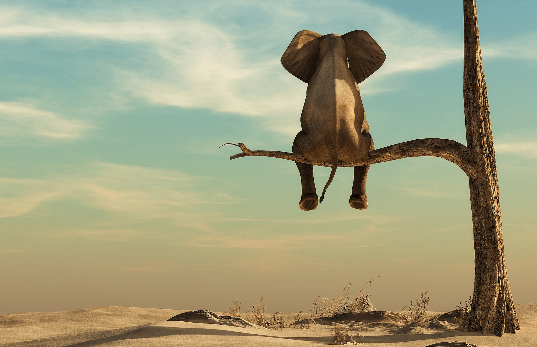 Cartoon elephant sitting on thin branch of withered tree in surreal landscape