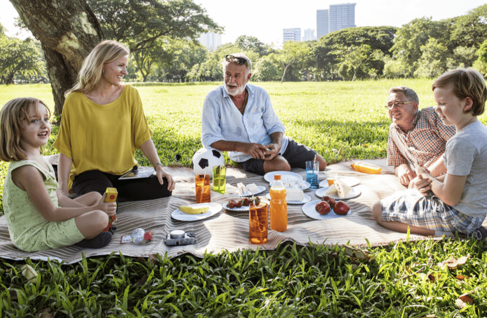 Senior man with family picnicing in the park