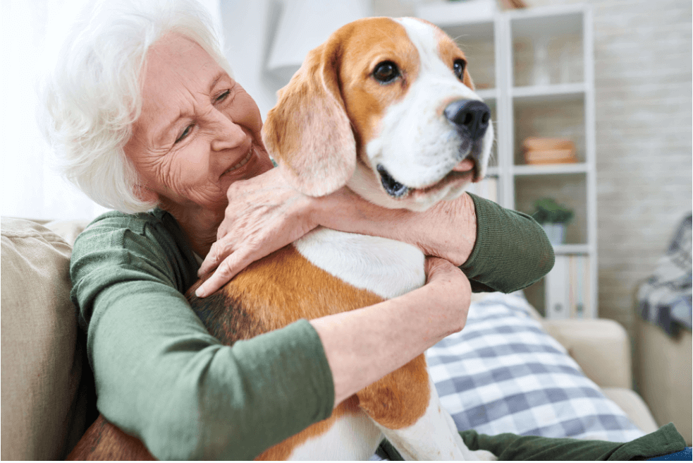 Dogs in Aged Care Homes: Everything You Need to Know
