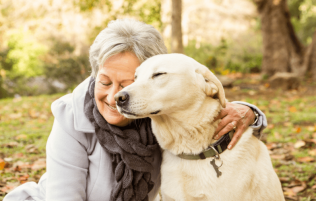 Rescue dogs in Aged Care Homes 