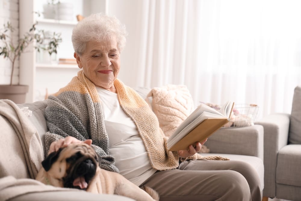 What is the Commonwealth Home Support Programme (CHSP)?