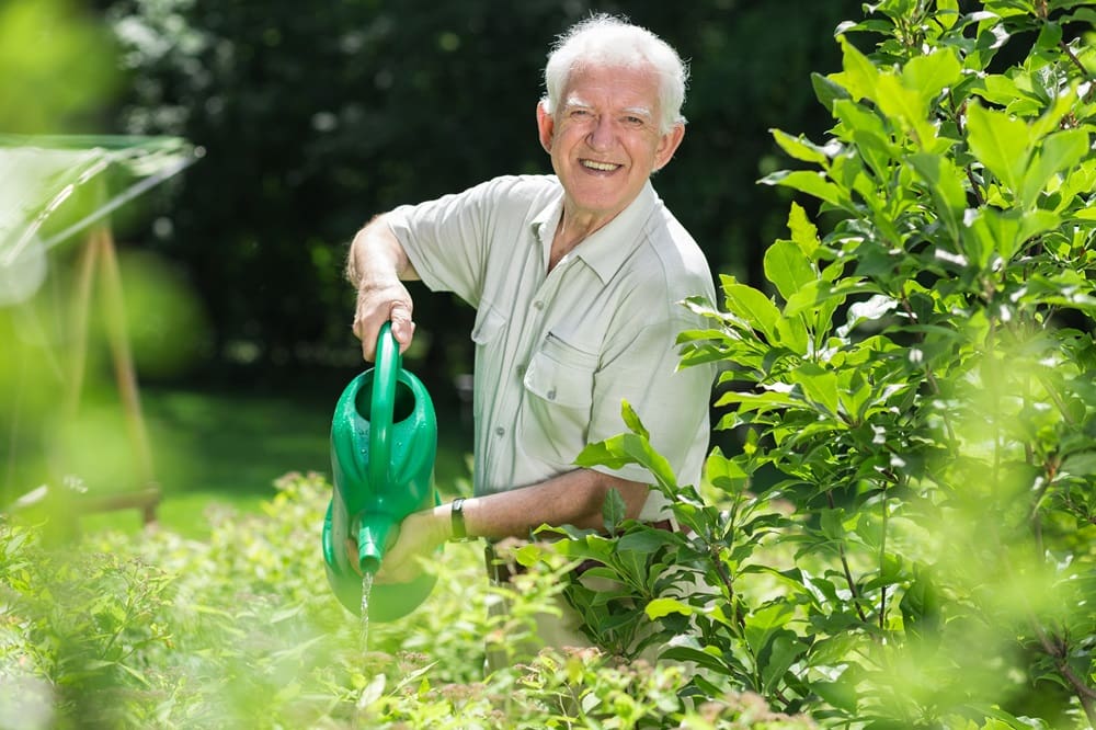 Home Care and Gardening services